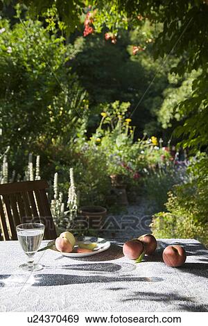 Stock Photo - Peaches on table in garden. Fotosearch