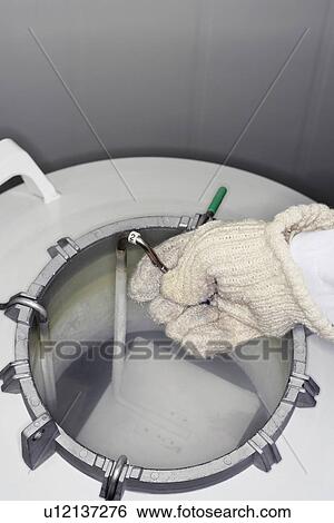 Person holding rack in nitrogen tank elevated view close up View Large Photo Image Stock Photograph - Person holding rack in nitrogen tank elevated view close up. Fotosearch