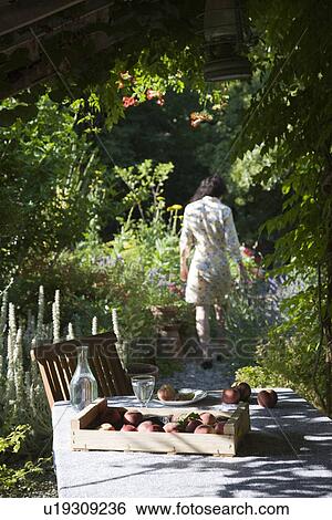 Person in garden View Large Photo Image Stock Photograph - Person in garden. Fotosearch