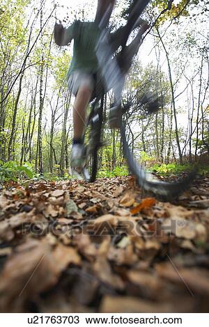 Person on mountain bike in woodland View Large Photo Image Stock Image - Person on mountain bike in woodland. Fotosearch