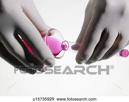 Stock Photo - Person wearing rubber gloves pouring pink liquid into vial close up studio shot. Fotosearch