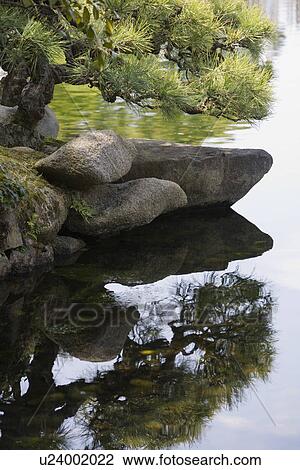 Stock Image - Pond in Korakuen Garden in Okayama. Fotosearch
