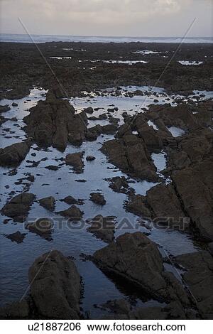 Rocky seashore View Large Photo Image Stock Photograph - Rocky seashore. Fotosearch