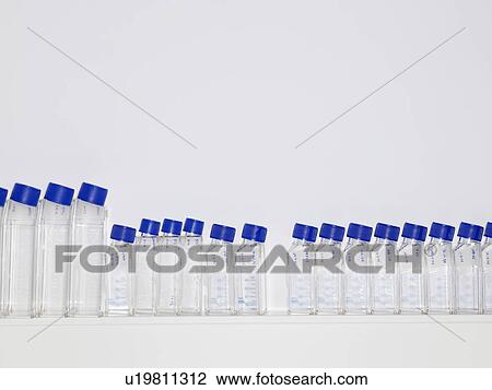 Stock Image - Row of specimen bottles on shelf. Fotosearch
