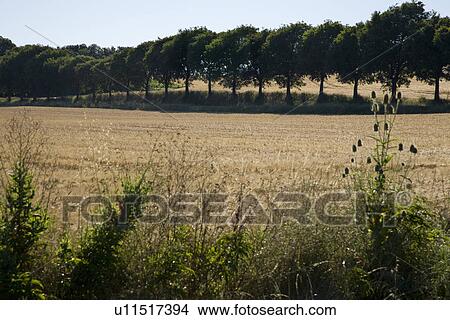 Rural landscape View Large Photo Image Picture - Rural landscape. Fotosearch