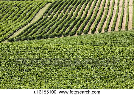 Stock Image - Rural landscape. Fotosearch