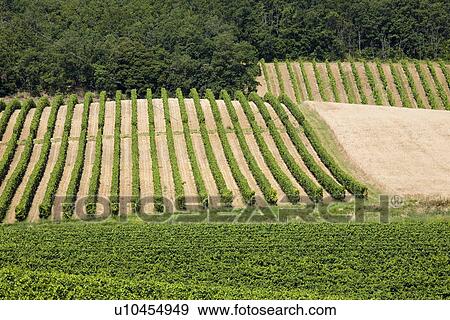 Rural landscape View Large Photo Image Stock Photo - Rural landscape. Fotosearch