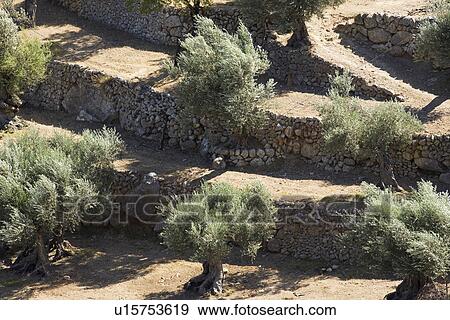 Rural landscape with stone walls View Large Photo Image Stock Photo - Rural landscape with stone walls. Fotosearch