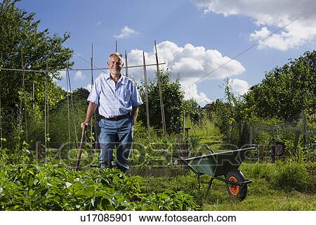 Senior man gardening portrait View Large Photo Image Stock Image - Senior man gardening portrait. Fotosearch
