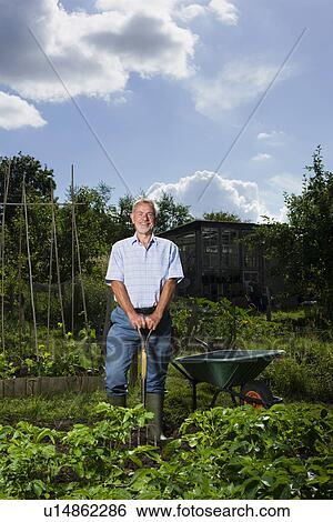 Senior man gardening portrait View Large Photo Image Stock Photograph - Senior man gardening portrait. Fotosearch