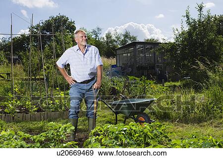 Stock Photo - Senior man gardening. Fotosearch
