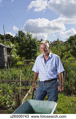 Senior man with wheel barrow gardening portrait View Large Photo Image Stock Image - Senior man with wheel barrow gardening portrait. Fotosearch