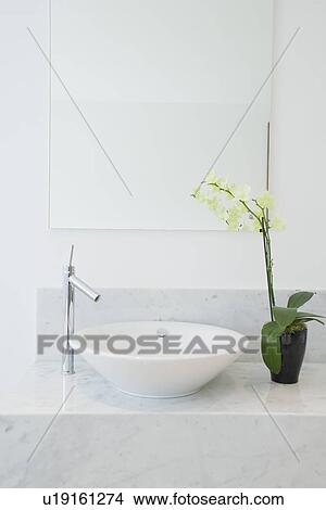 Picture - Sink and potted plant in bathroom. Fotosearch