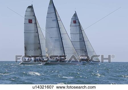 Three yachts compete in team sailing event California View Large Photo Image Stock Photo - Three yachts compete in team sailing event California. Fotosearch