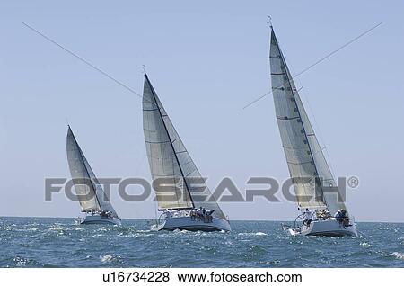 Stock Photo - Three yachts compete in team sailing event California. Fotosearch