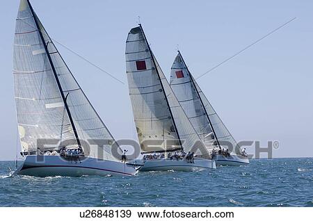 Three yachts compete in team sailing event California View Large Photo Image Stock Photo - Three yachts compete in team sailing event California. Fotosearch