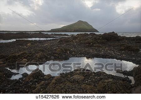 Tranquil view of a seashore View Large Photo Image Stock Photograph - Tranquil view of a seashore. Fotosearch