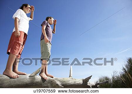 Two boys (10-12) looking at view standing on fallen tree trunk View Large Photo Image Stock Photo - Two boys (10-12) looking at view standing on fallen tree trunk. Fotosearch
