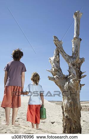 Stock Photograph - Two boys (7-12) with watering can standing by dead tree on beach. Fotosearch