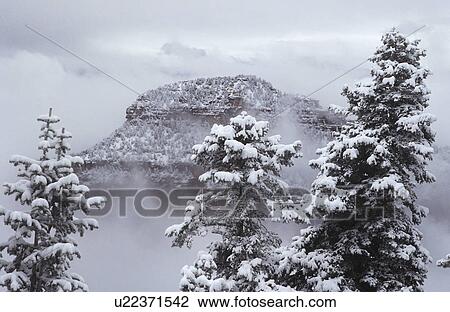 Stock Image - USA Arizona Grand Canyon North Rim in snow. Fotosearch