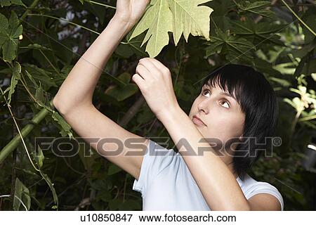 Stock Photo - Woman Examining Leaf. Fotosearch