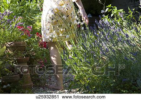 Stock Image - Woman in garden. Fotosearch