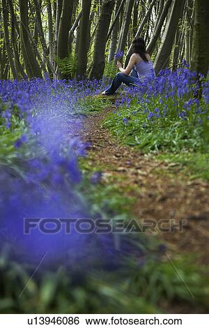 Woman Picking Wildflowers View Large Photo Image Stock Photograph - Woman Picking Wildflowers. Fotosearch