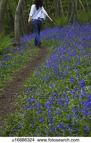 Woman Walking on a Path View Large Photo Image Picture - Woman Walking on a Path. Fotosearch