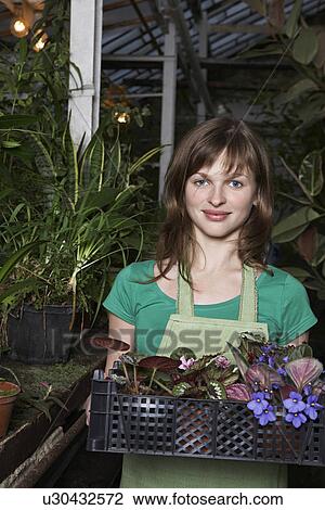 Woman with a Tray of Potted Plants View Large Photo Image Stock Image - Woman with a Tray of Potted Plants. Fotosearch
