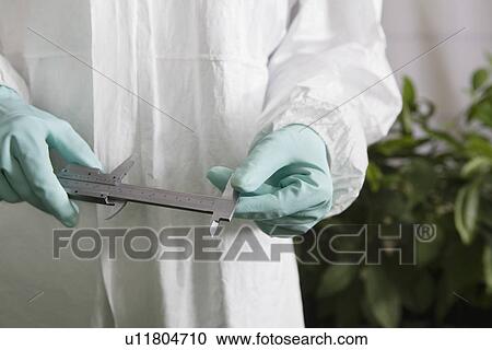 Worker holding calipers standing in greenhouse mid section close up View Large Photo Image Stock Image - Worker holding calipers standing in greenhouse mid section close up. Fotosearch