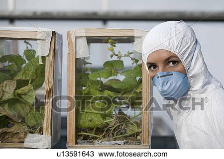 Worker in protective mask and suit by plants portrait View Large Photo Image Stock Image - Worker in protective mask and suit by plants portrait. Fotosearch