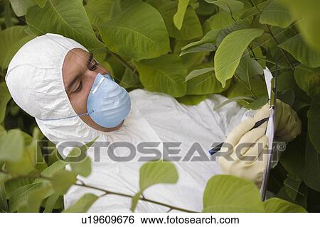 Worker in protective mask and suit writing on pad amongst plants View Large Photo Image Stock Photograph - Worker in protective mask and suit writing on pad amongst plants. Fotosearch