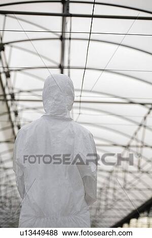 Stock Photo - Worker in protective suit in greenhouse back view. Fotosearch