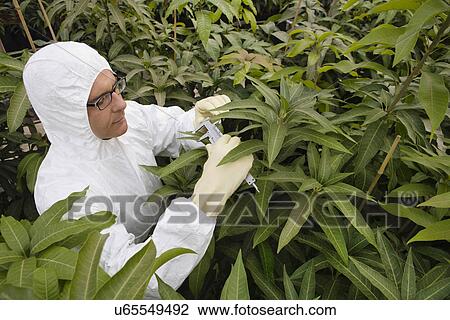 Worker in protective suit measuring plants elevated view View Large Photo Image Stock Image - Worker in protective suit measuring plants elevated view. Fotosearch