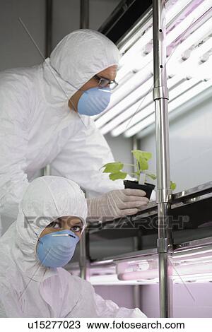 Stock Image - Workers in protective masks and suits in laboratory with plant. Fotosearch