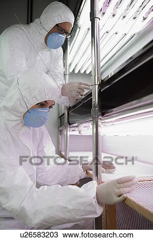 Workers in protective masks and suits in laboratory View Large Photo Image Stock Image - Workers in protective masks and suits in laboratory. Fotosearch