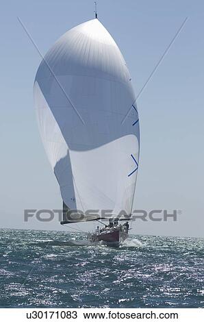 Yacht competes in team sailing event California View Large Photo Image Stock Image - Yacht competes in team sailing event California. Fotosearch