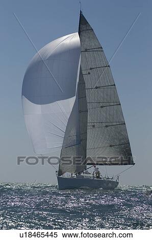 Stock Photography - Yacht competes in team sailing event California. Fotosearch