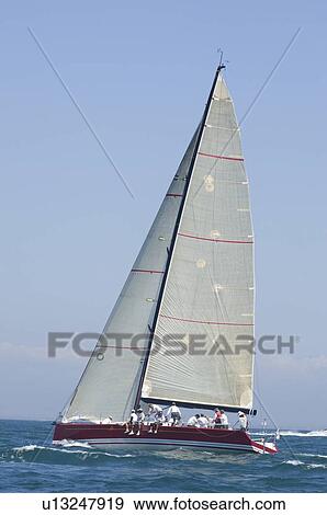 Yacht with white sail competes in team sailing event California View Large Photo Image Stock Photo - Yacht with white sail competes in team sailing event California. Fotosearch