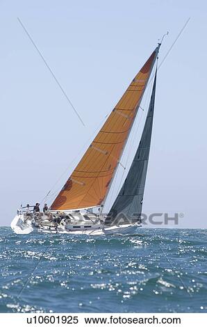 Yacht with yellow sail competes in team sailing event California View Large Photo Image Stock Photography - Yacht with yellow sail competes in team sailing event California. Fotosearch