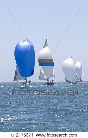 Yachts compete in team sailing event California View Large Photo Image Stock Image - Yachts compete in team sailing event California. Fotosearch