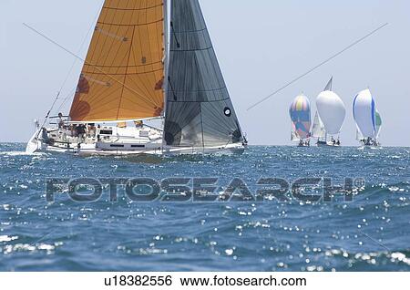Yachts compete in team sailing event California View Large Photo Image Stock Photograph - Yachts compete in team sailing event California. Fotosearch
