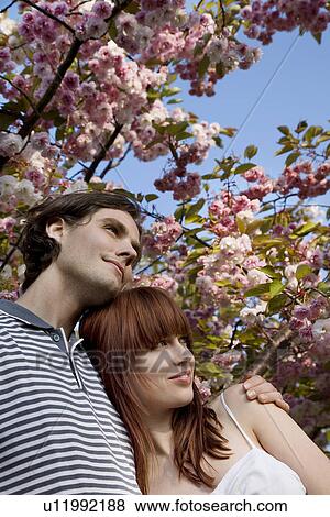 Young Couple Under a Blossoming Tree View Large Photo Image Stock Photo - Young Couple Under a Blossoming Tree. Fotosearch