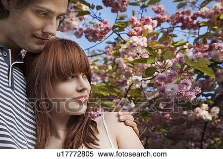 Young Couple Under a Blossoming Tree View Large Photo Image Stock Photography - Young Couple Under a Blossoming Tree. Fotosearch
