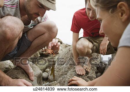 Stock Photo - Young travelers looking at sea animal threw at a seashore . Fotosearch