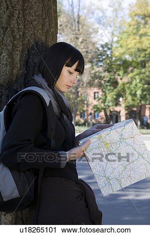 Young woman study map leaning on tree View Large Photo Image Stock Image - Young woman study map leaning on tree. Fotosearch