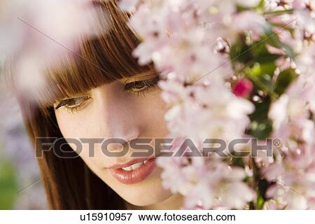Young Woman Under a Blossoming Tree View Large Photo Image Stock Photo - Young Woman Under a Blossoming Tree. Fotosearch