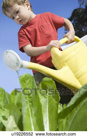 2 Year Old in vegetable garden with watering can View Large Photo Image Stock Image - 2 Year Old in vegetable garden with watering can. Fotosearch