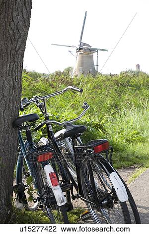 Stock Image - Bicycles leaning against tree with windmill in background. Fotosearch