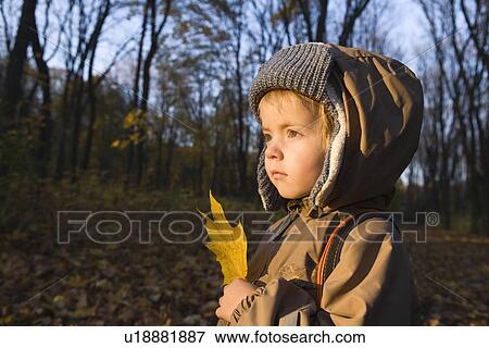 Boy holding leaf in park View Large Photo Image Stock Photo - Boy holding leaf in park. Fotosearch